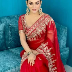 Red Bridal Saree w/ Silver Stone & Zardozi Work - Image 2